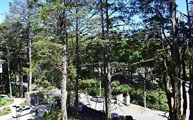 Altos da Bela Vista Gramado centro locação de temporada
